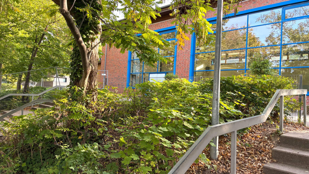Treppe mit Geländer neben einem bewachsenen Hang am Schulgebäude