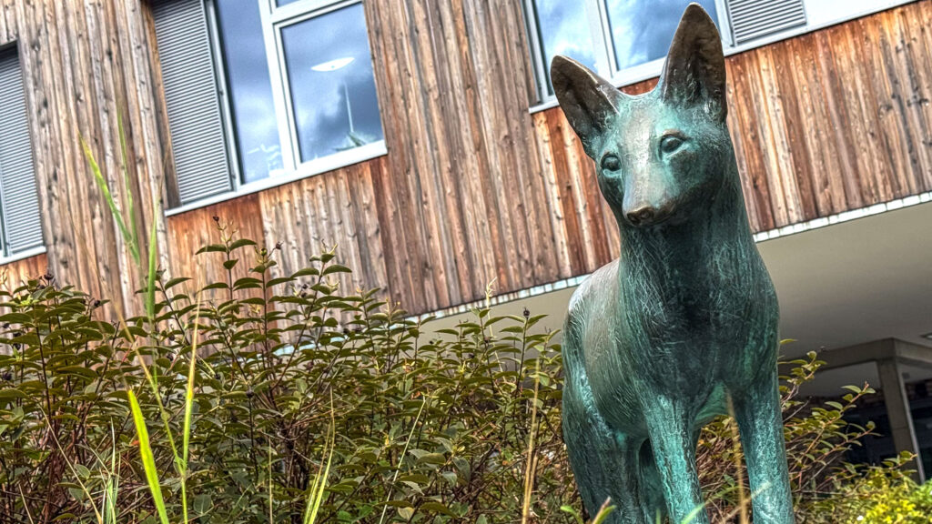 Bronzefigur eines Fuchses vor der Holzfassade der Schule